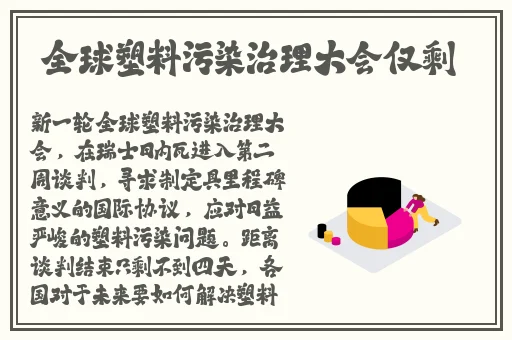 井泽芽衣